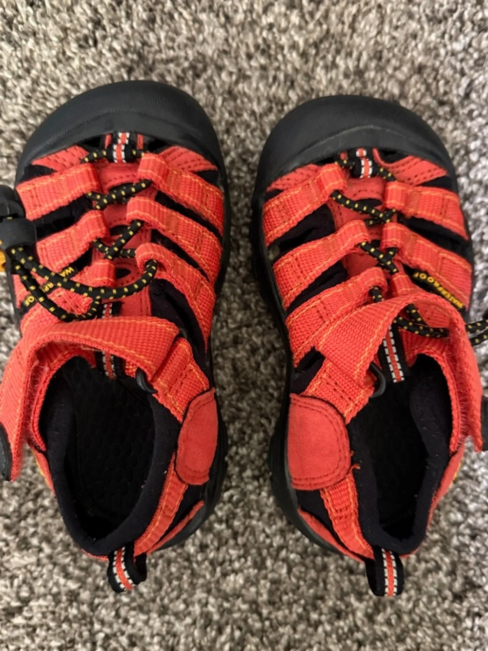 Keen amazing bright